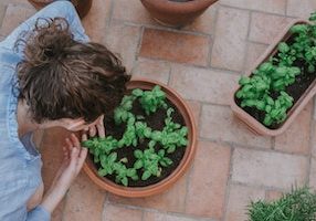 Gardening-In-Small-Spaces